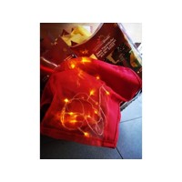 KATRIA Vianočný obru s LED svetielkami červený SVI206