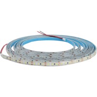 DAISY LED STRIP 120LED/m IP65 CW 5m 12W/m - LED pásik